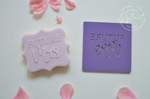 STEMPEL FUTURE MRS